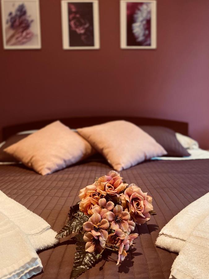 Dreams In Rome - Colosseum Apartment 外观 照片